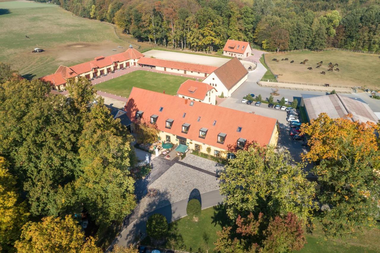 Hotel Rittergut Osthoff Georgsmarienhütte 外观 照片